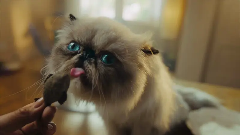 Mr. Miggles